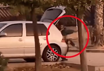 VIDEO: Captan momento en que un hombre secuestra a su hermana