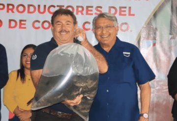 Ayuntamiento de Comalcalco entrega 140 mil crías de mojarra tilapia a productores del municipio