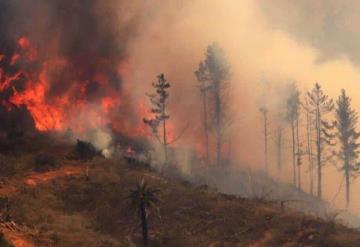 Incendios no dan tregua en Chile; Gobierno reconoce preocupación