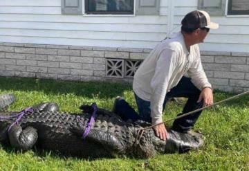 Abuelita que paseaba a su perro sobre un parque es atacada por un cocodrilo