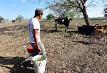 Campesinos solicitan apoyo al Gobernador de Tabasco por temporada de sequía