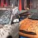 Extraña lluvia de gusanos vivos sorprende a miles de ciudadanos en China
