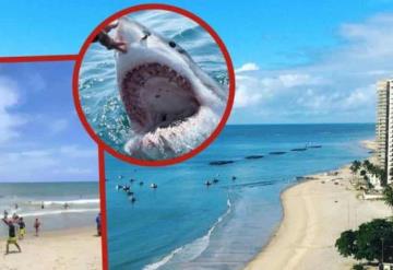 Tiburones atacan a dos jóvenes en una playa de Brasil; uno de ellos terminó amputado