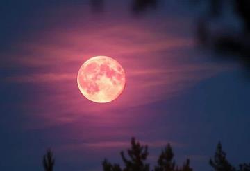 Luna Rosa de abril 2023: ¿Cuándo y dónde verla en México?