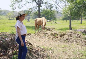 Ganaderos reconocen a Yolanda Osuna por oportuno programa de jagüeyes ante sequía