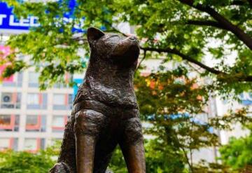 Hachiko, el perrito más leal del mundo, cumple 100 años; esta es su historia