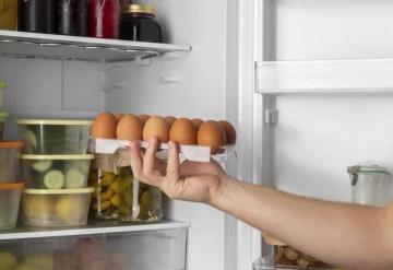 ¿Qué pasa si colocas los huevos en el refrigerador?