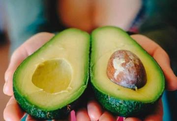 ¿Es bueno comer aguacate todos los días? Estos son sus beneficios