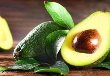 El aguacate aporta muchos beneficios, conoce cuáles son