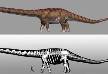 El esqueleto del dinosaurio más grande en el museo de España