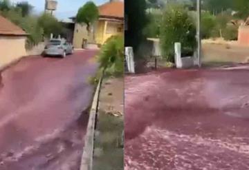 Ríos de vino tinto inundan las calles en Portugal