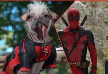 Ryan Reynolds confirma que Deadpool 3 se estrenará en 2024, además anuncia nuevo personaje