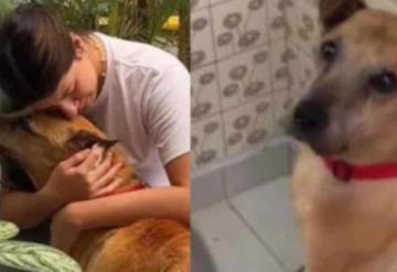 Joven comparte cómo se despidió de su perrito antes de ´dormirlo´; "así fue mi último día en la Tierra"