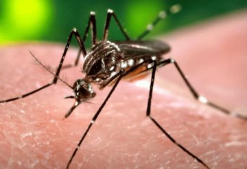 confirman más de 2 mil casos de dengue en Tabasco