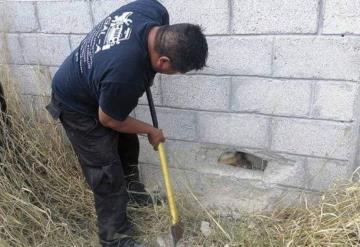 Rescataron a un perro que estuvo atrapado entre dos paredes durante horas.