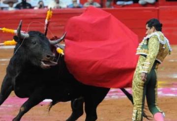 Jueza ordena suspensión inmediata de corridas de toros en la Plaza México