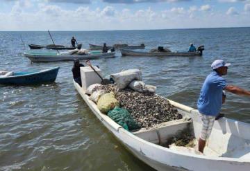 PEMEX fortalece las actividades del sector pesquero organizado de escama marina y ostras de Cárdenas