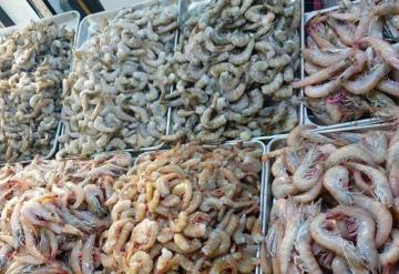 ¿Cómo saber si los mariscos están en mal estado?