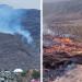 Más de 50 incendios forestales activos en México; ¿Cuales son los estados afectados?