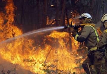 126 incendios forestales han devastado México los últimos días