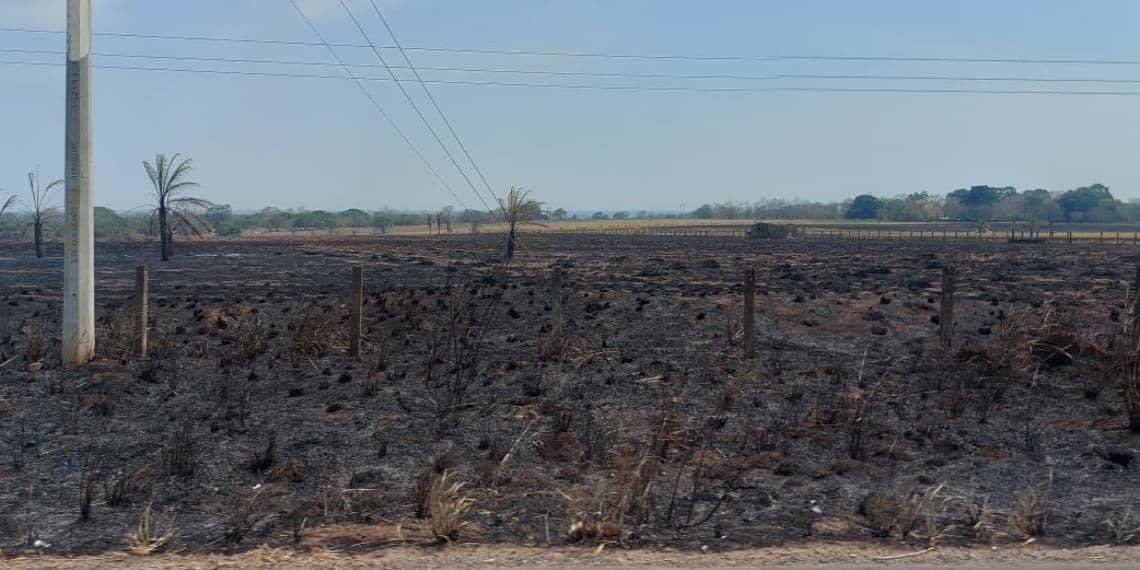 Humo, cenizas, llamas y altas temperaturas afectan a la zona de Los Ríos