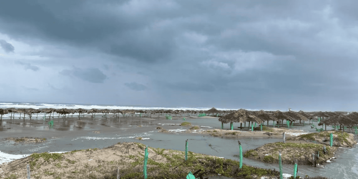 Ciclón tropical  Beryl propiciará fuertes vientos y oleaje de 1 a 2 metros de altura en costa de Tamaulipas