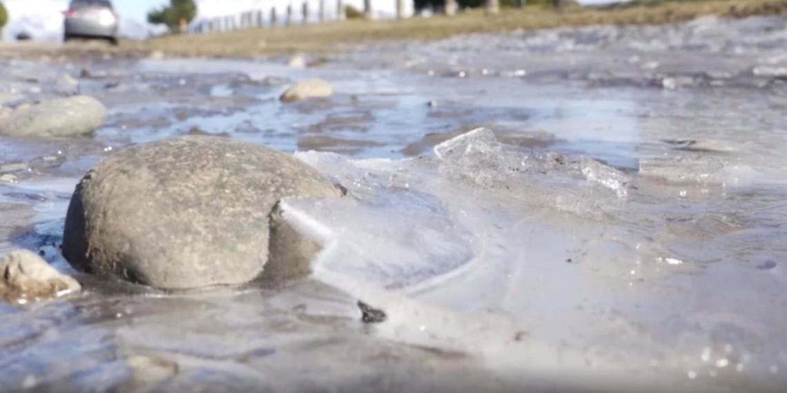 Ola polar en Argentina: Animales congelados por frío extremo