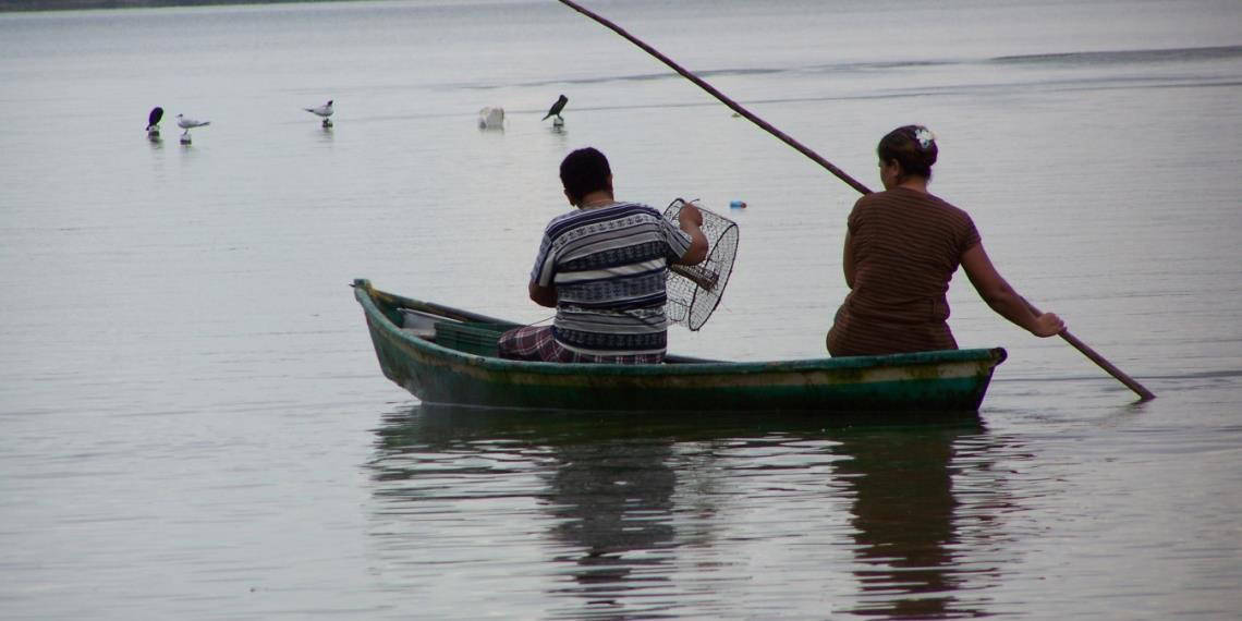 Baja la producción por sobrepesca