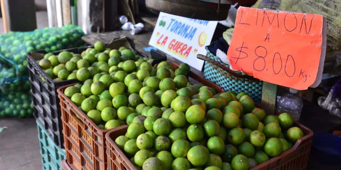 Se mantiene estable precio del limón